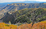 Mesa Verde National Park