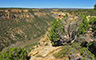 Mesa Verde National Park