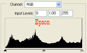 Epson