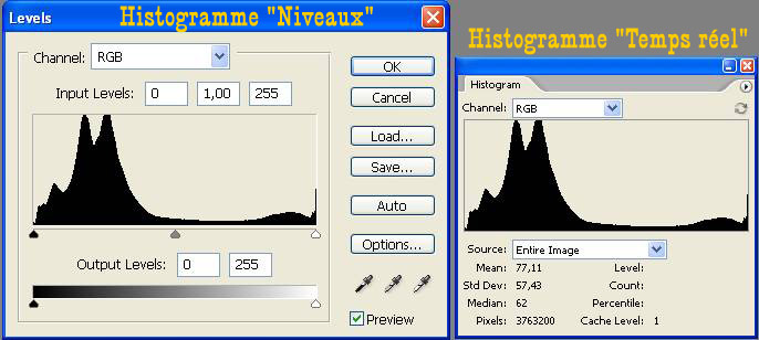 histogrammes