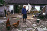 ferme